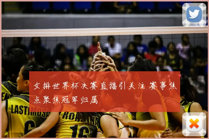 女排世界杯决赛直播引关注 赛事焦点聚焦冠军归属