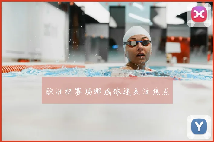 欧洲杯赛场哪成球迷关注焦点