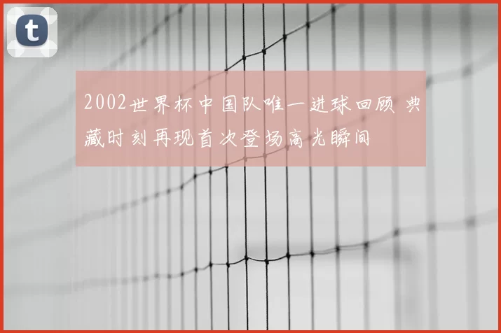 2002世界杯中国队唯一进球回顾 典藏时刻再现首次登场高光瞬间